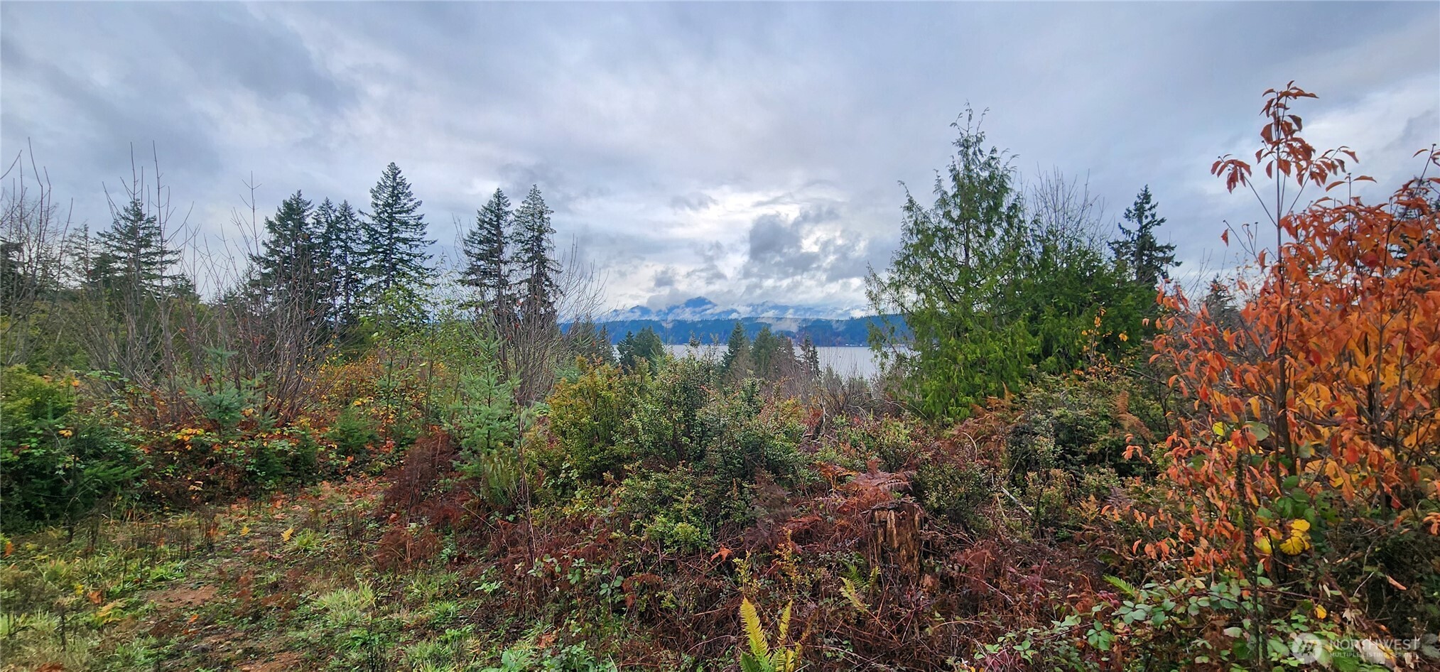 0 E Twanoh Heights Road Property Photo 5
