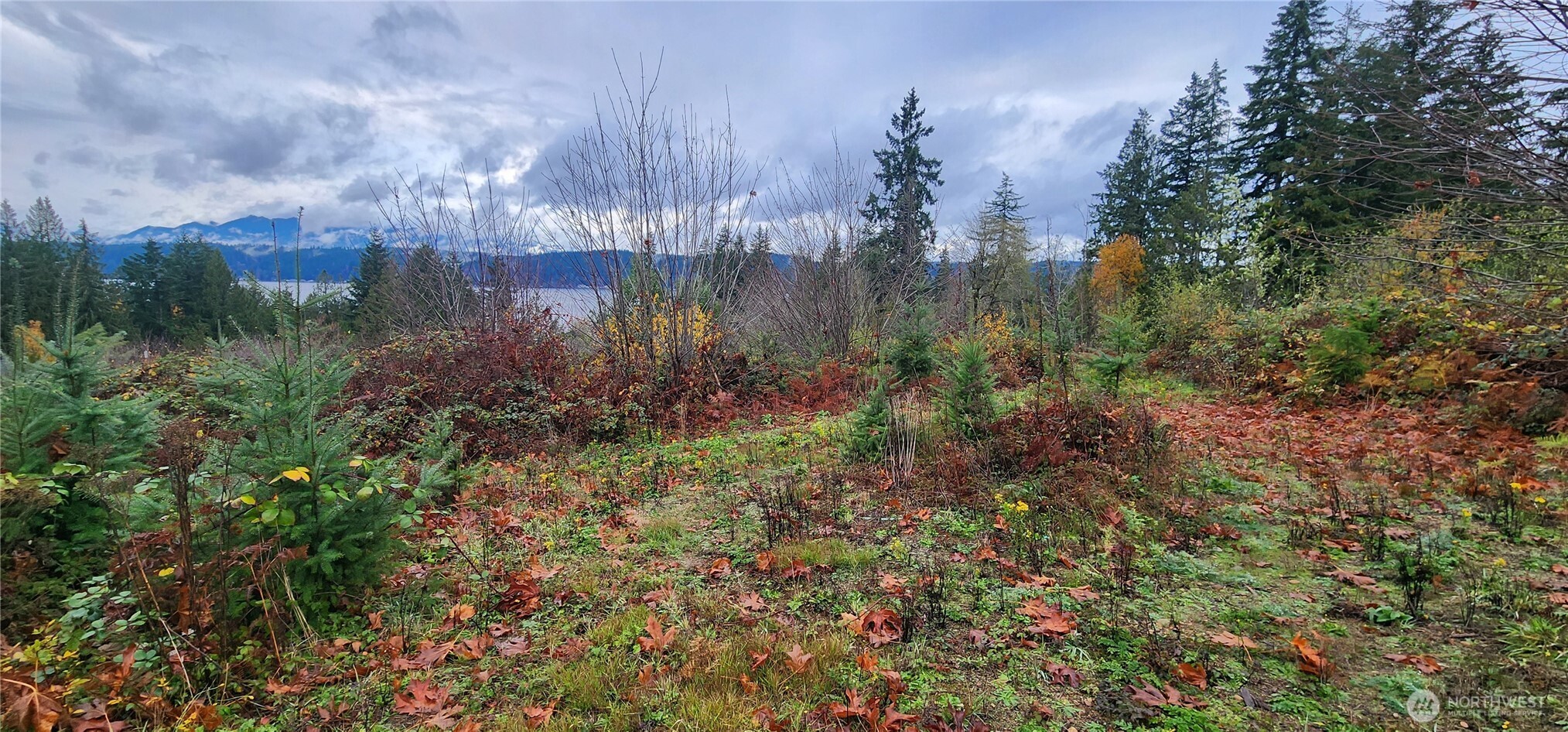 0 E Twanoh Heights Road Property Photo 6