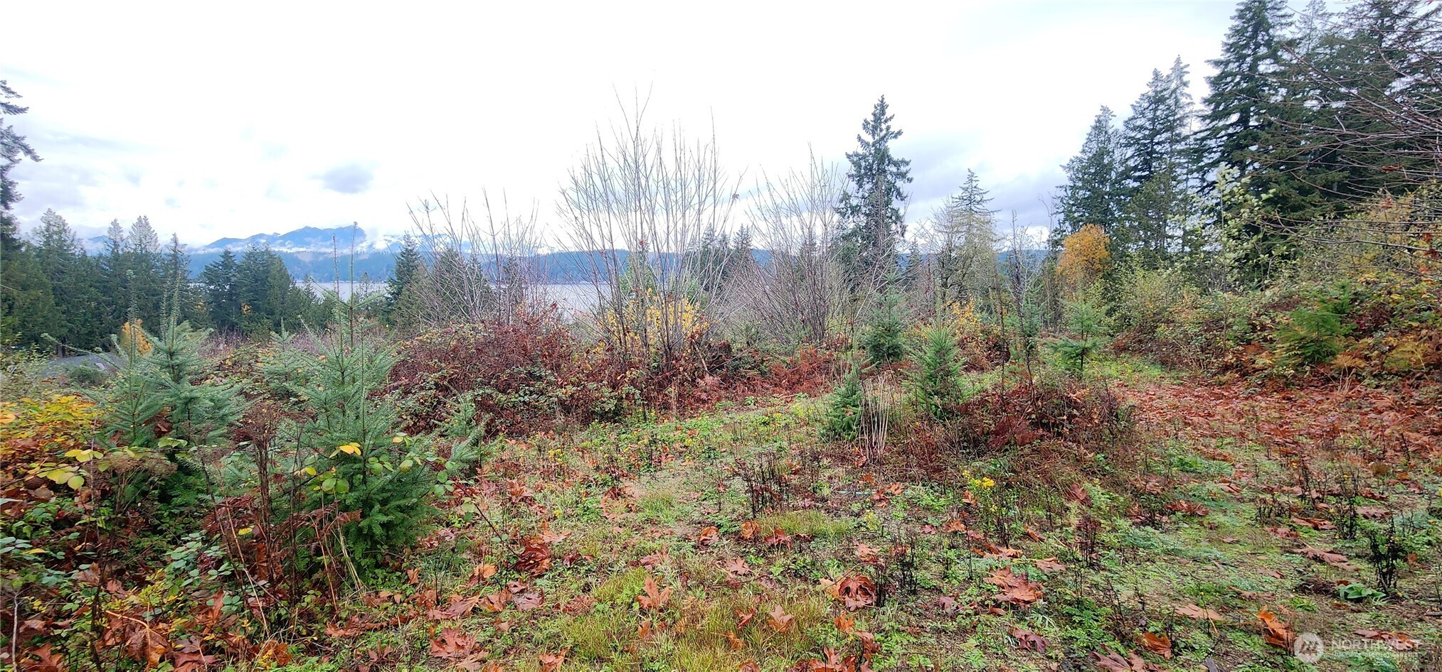 0 E Twanoh Heights Road Property Photo 7