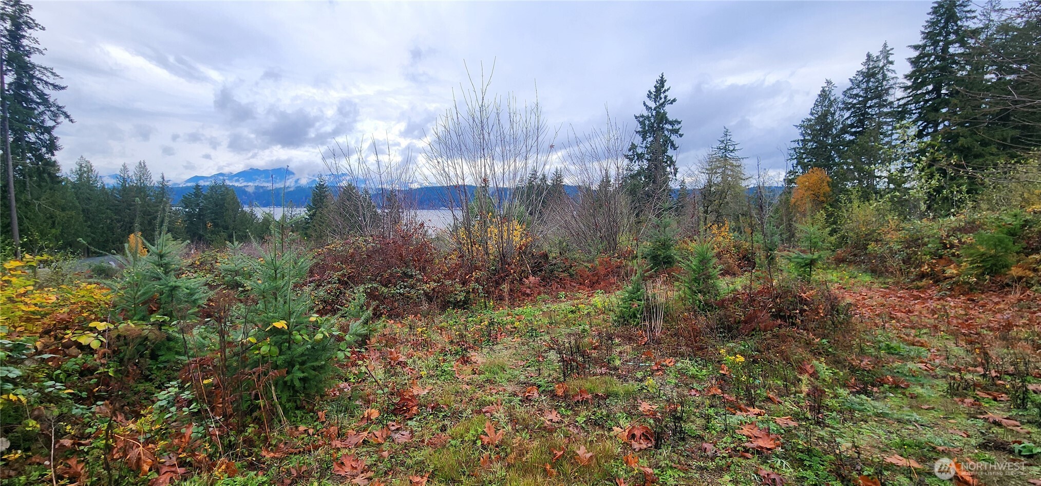 0 E Twanoh Heights Road Property Photo 8