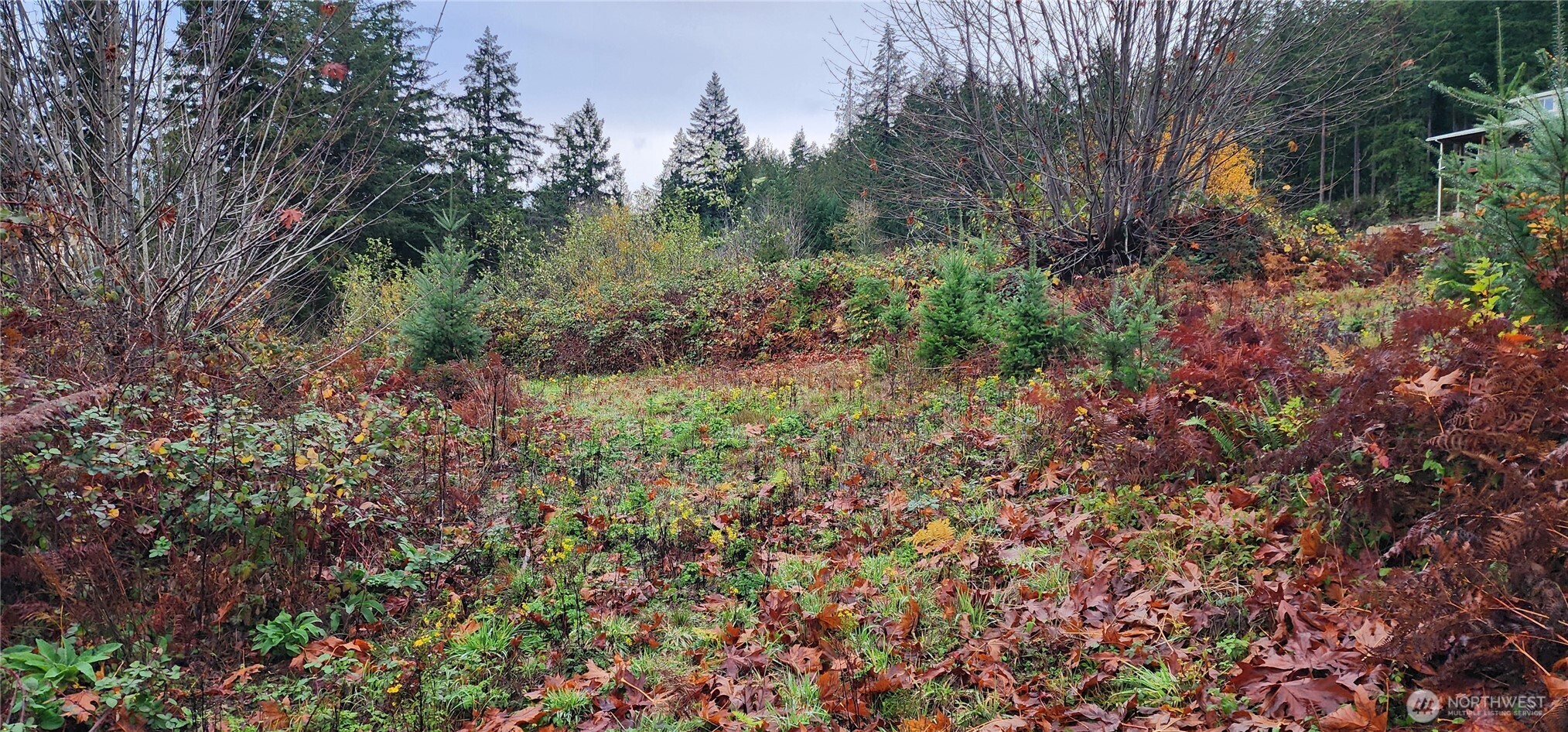 0 E Twanoh Heights Road Property Photo 13