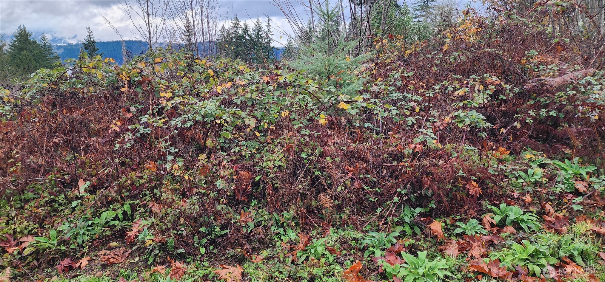 0 E Twanoh Heights Road Property Photo 14