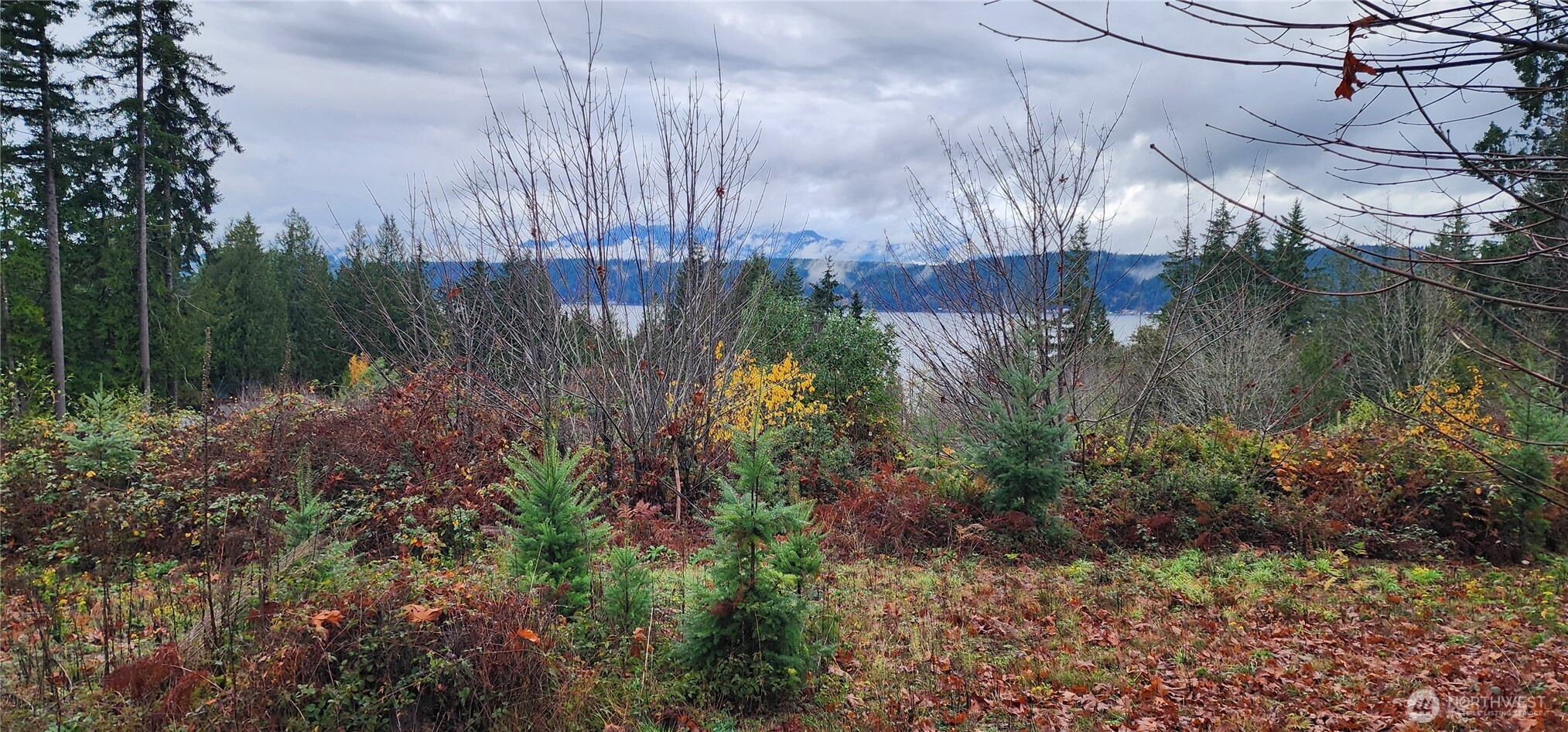 0 E Twanoh Heights Road Property Photo 16