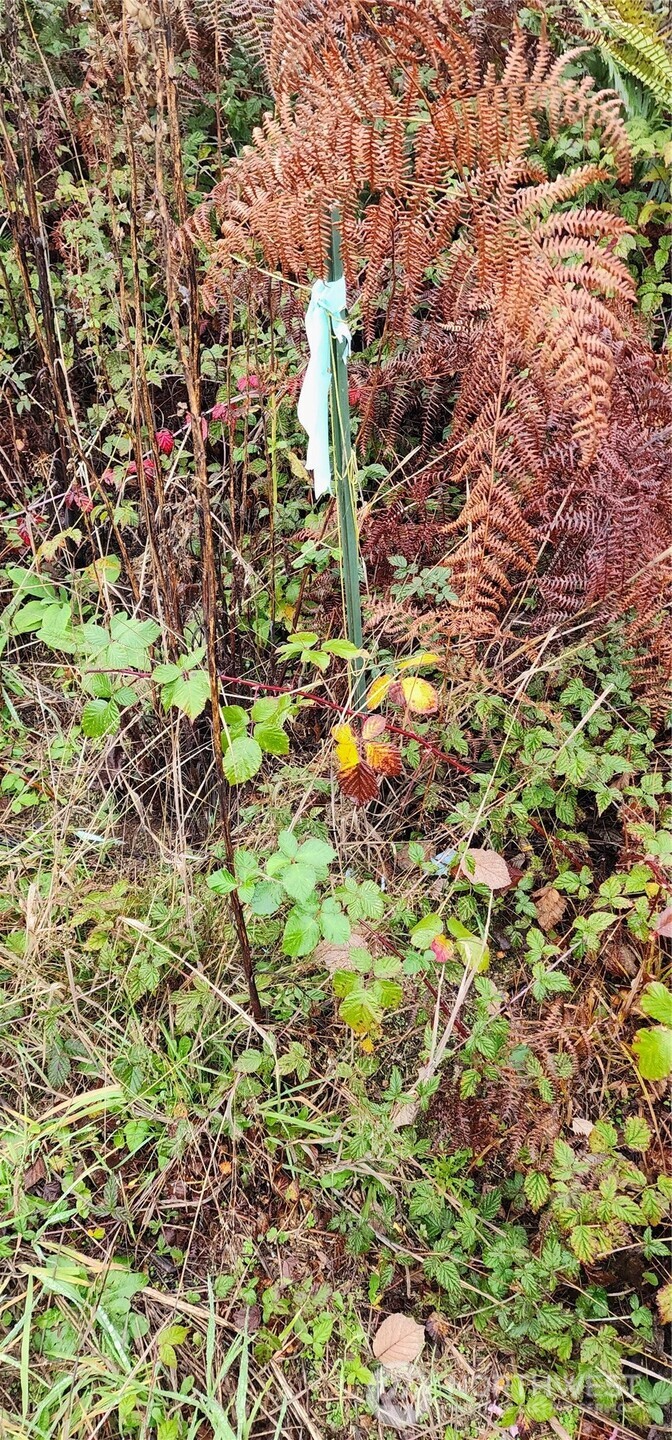 0 E Twanoh Heights Road Property Photo 27