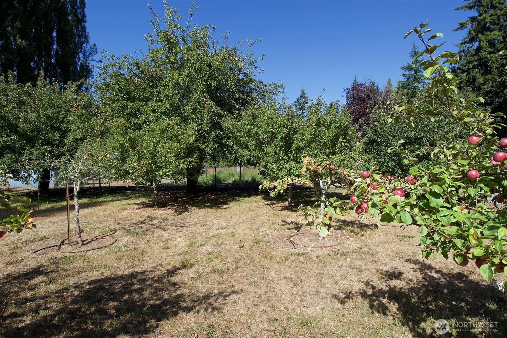 477 Wasankari Road Property Photo 26