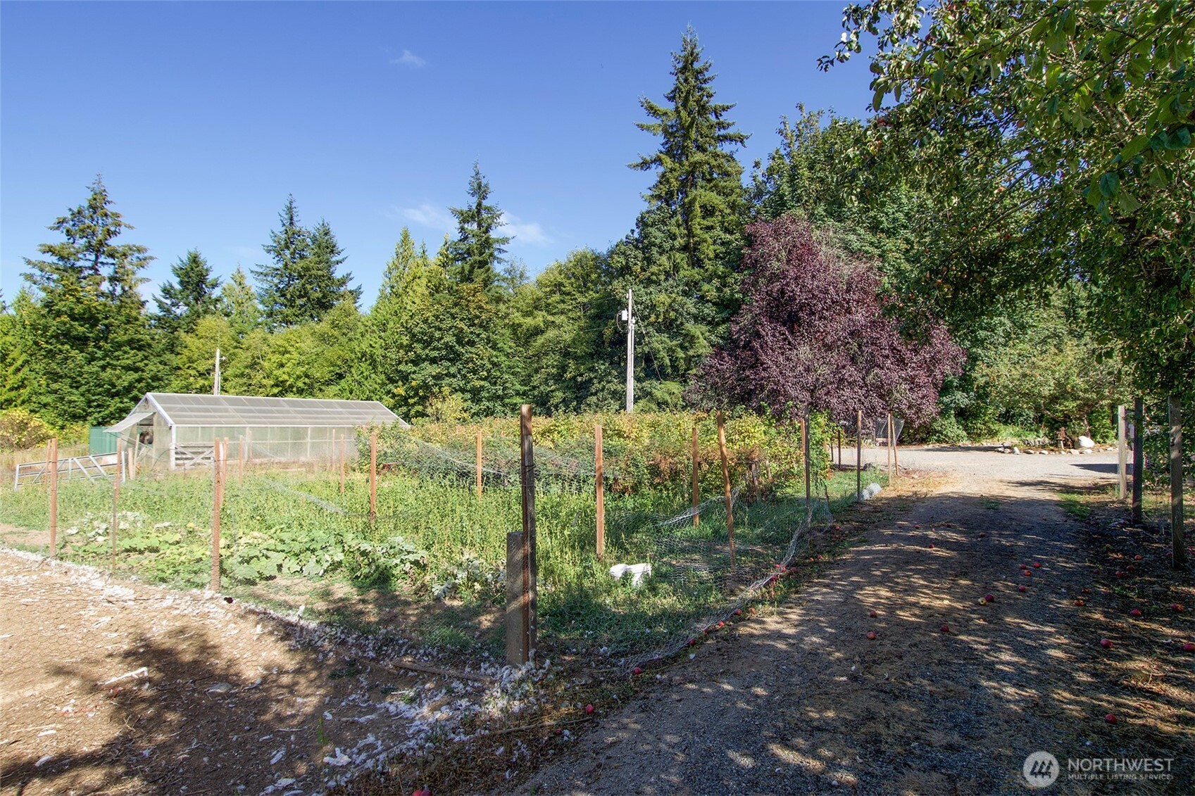 477 Wasankari Road Property Photo 28