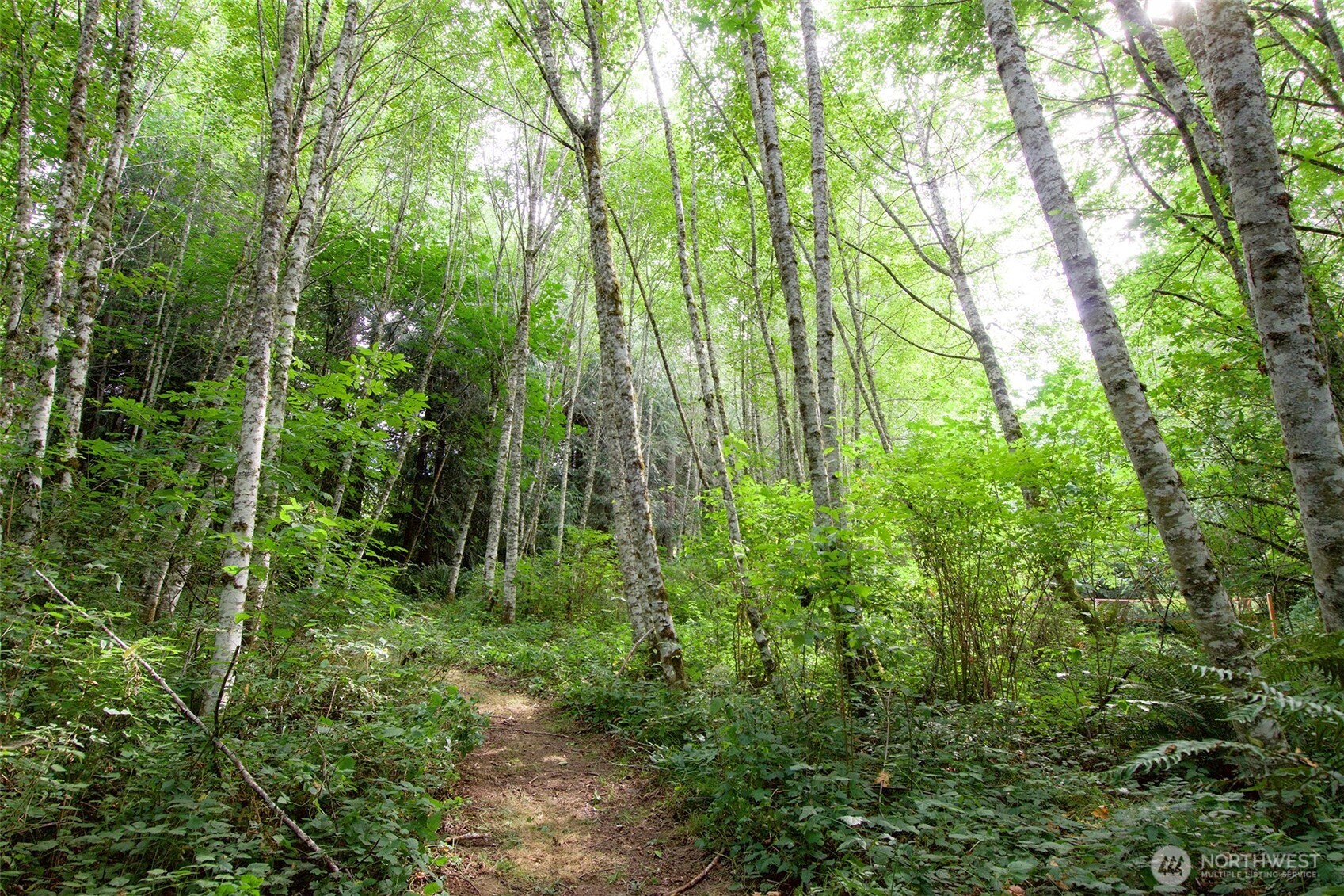 477 Wasankari Road Property Photo 29