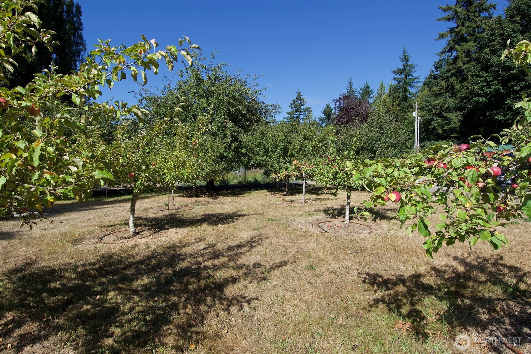 477 Wasankari Road Property Photo 34