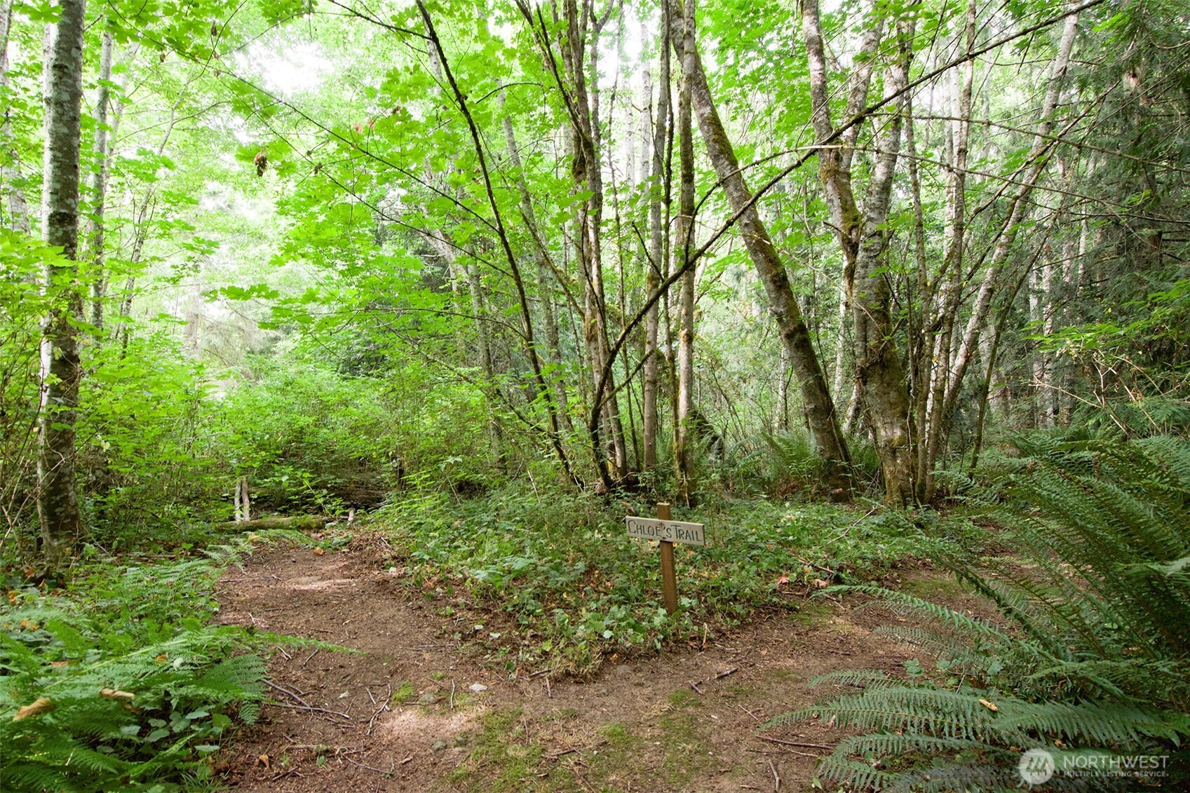 477 Wasankari Road Property Photo 40
