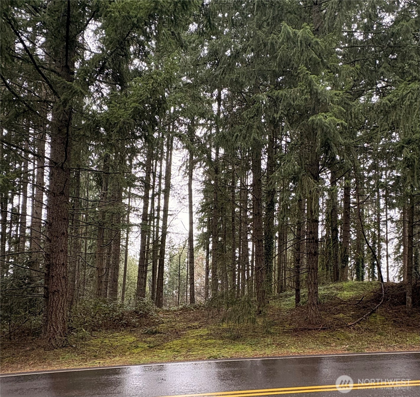 22020 Clearlake Boulevard Property Photo 1