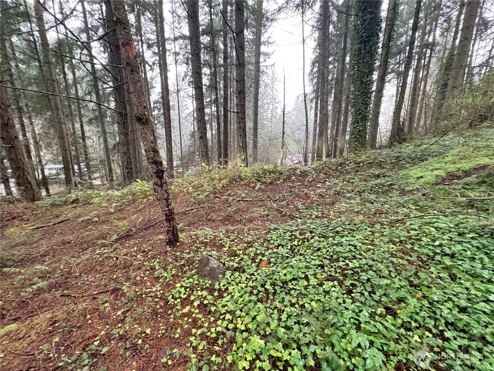 22020 Clearlake Boulevard Property Photo 3