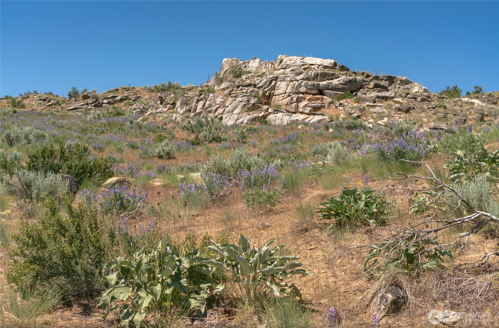 0 Lot 3 Highland Vista Property Photo 2