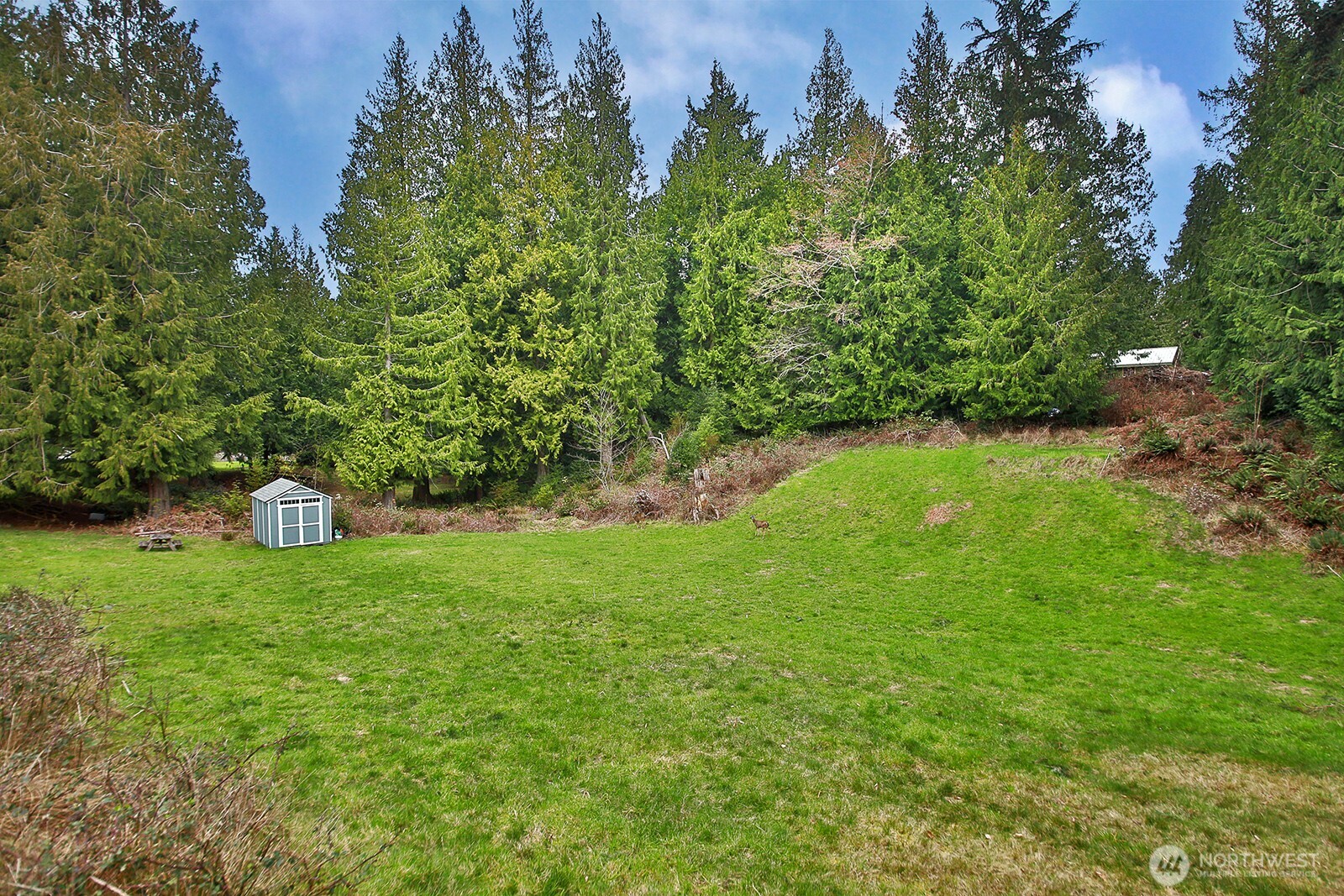 4985 Wilkinson Road Property Photo 8