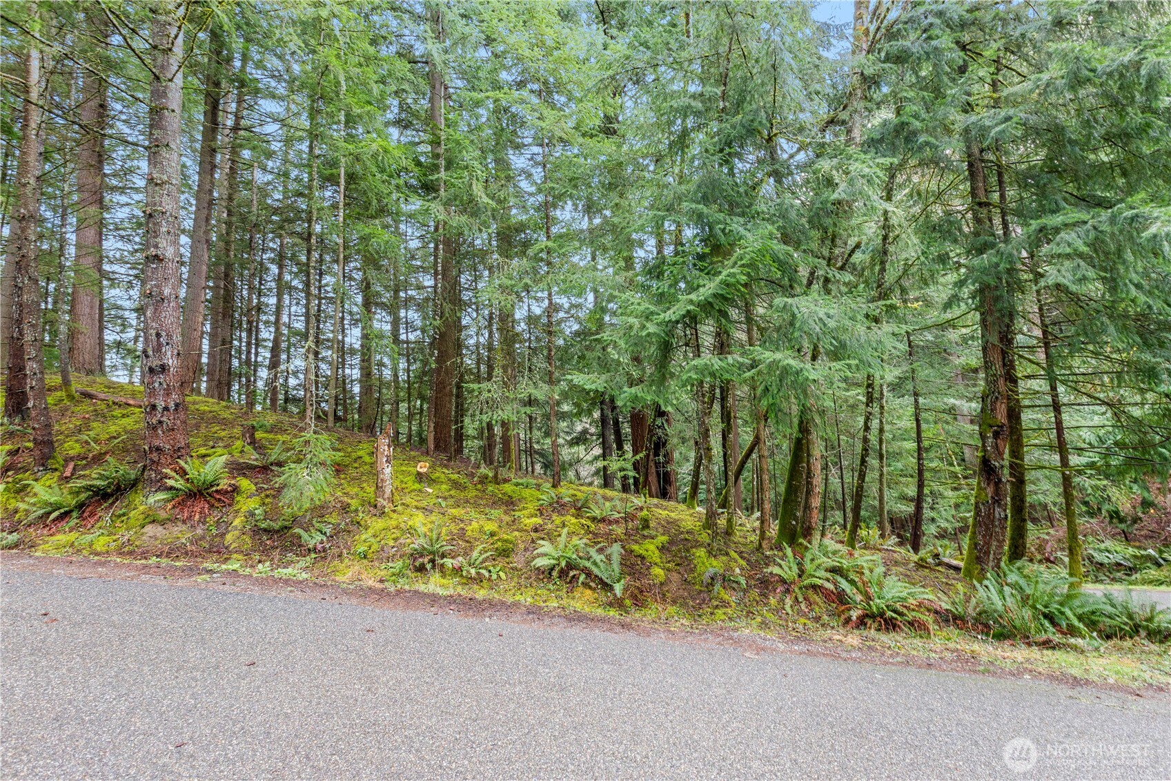 2 Oval Court Property Photo 3