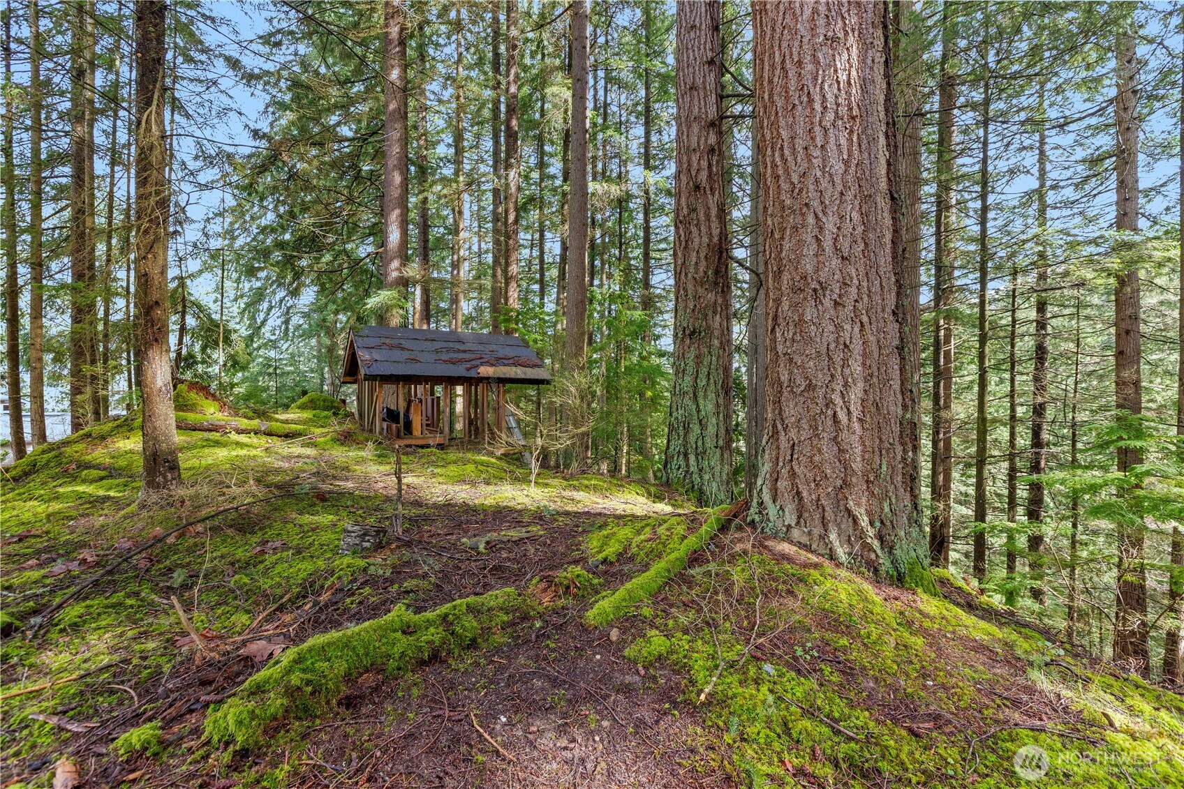 2 Oval Court Property Photo 4