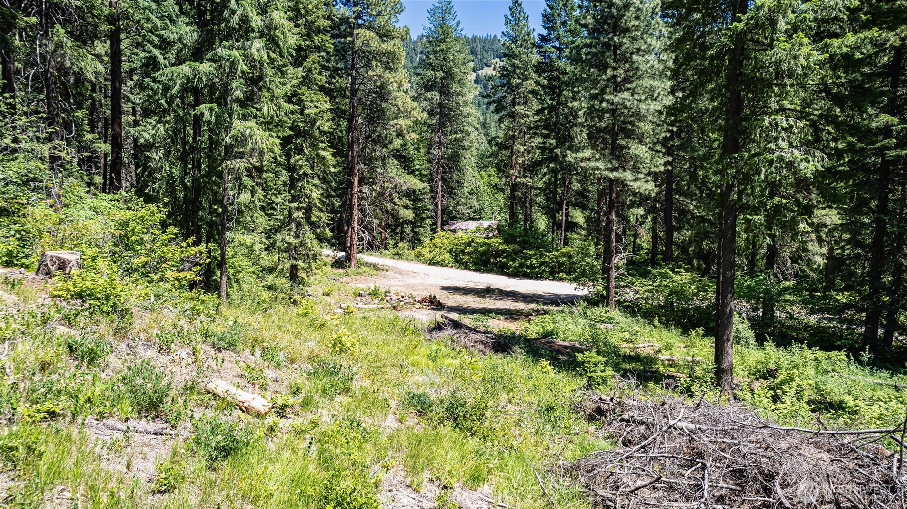 16757 Second Creek Road Property Photo 5