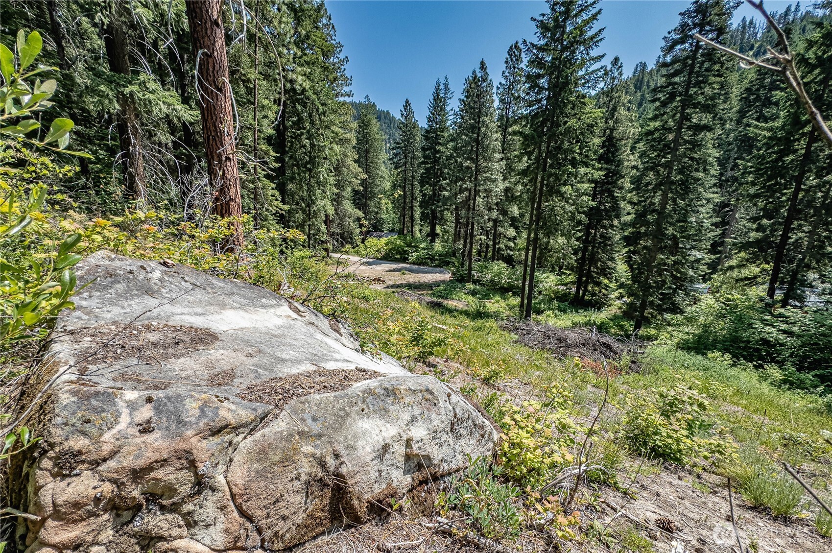 16757 Second Creek Road Property Photo 7