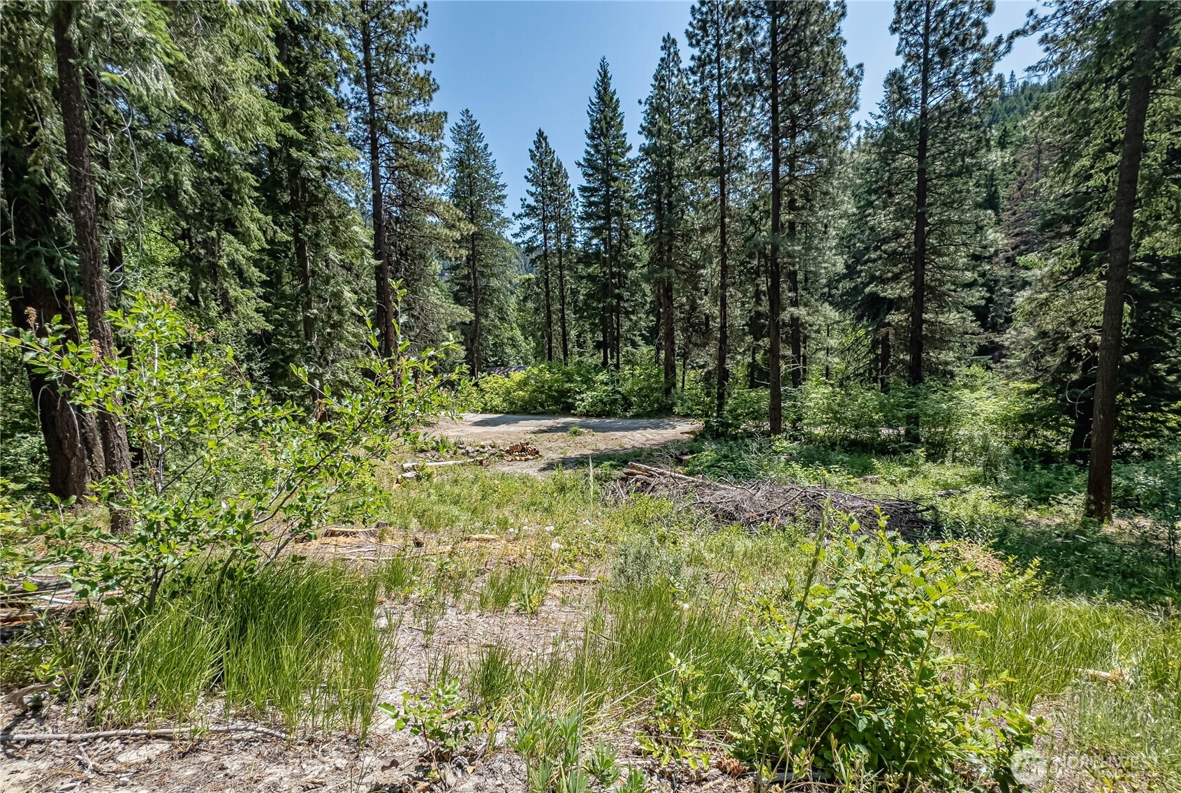 16757 Second Creek Road Property Photo 10