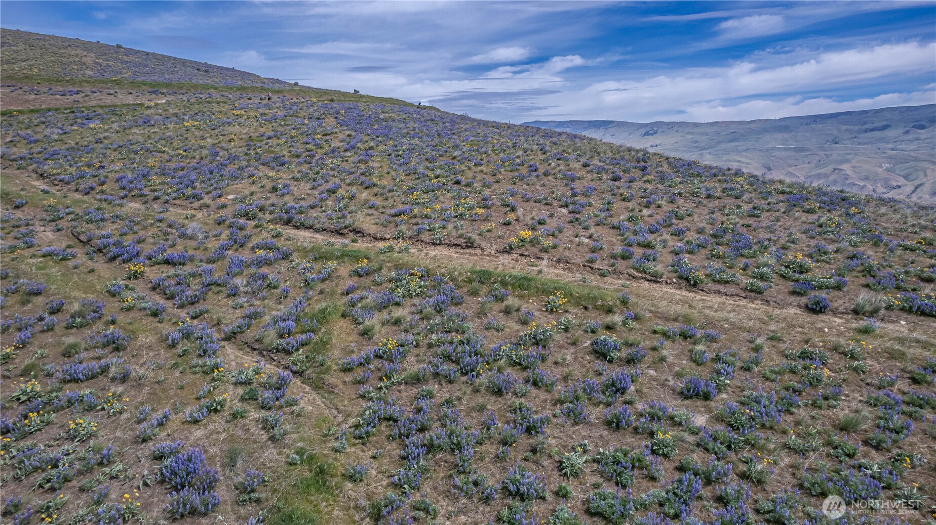 0 Lot 1 Burch Mountain Road Property Photo 7