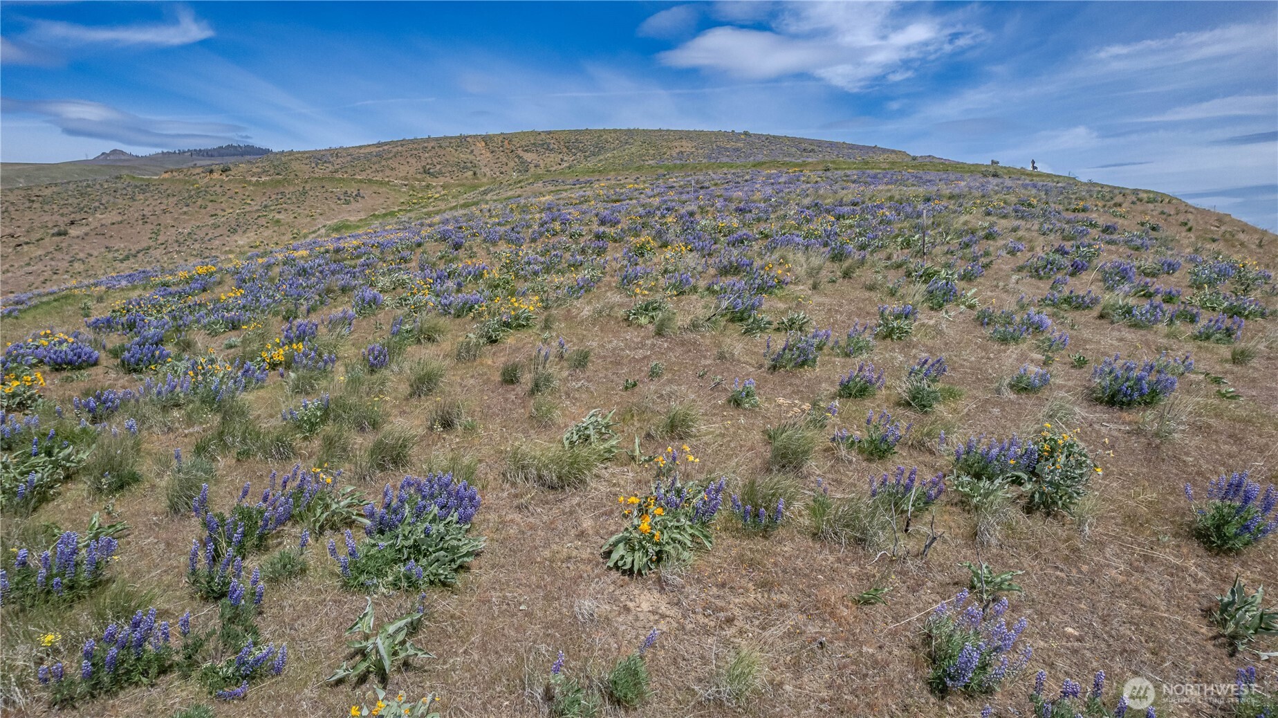 0 Lot 1 Burch Mountain Road Property Photo 8