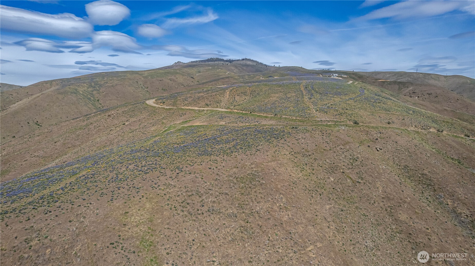 0 Lot 1 Burch Mountain Road Property Photo 14