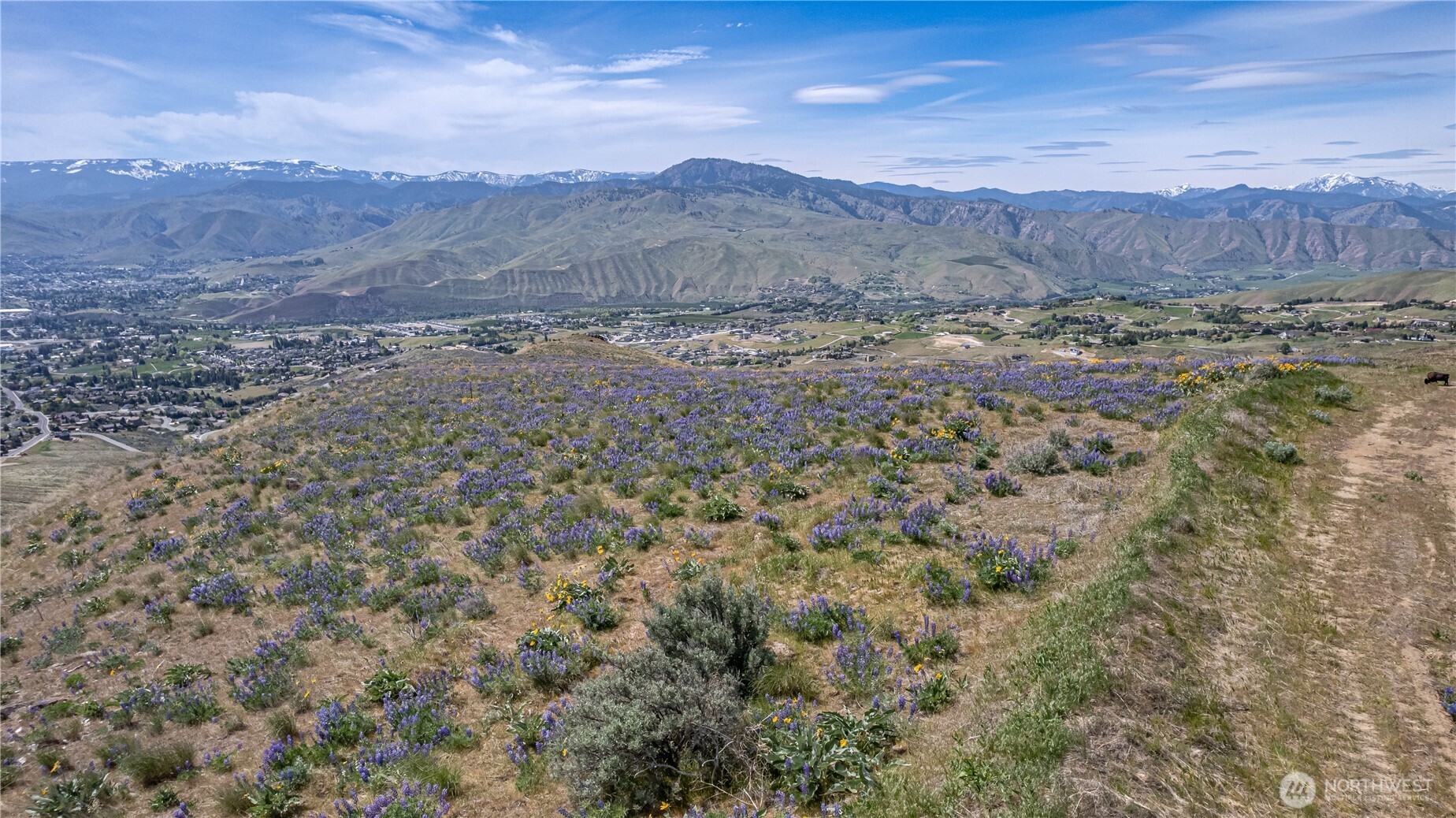 0 Lot 1 Burch Mountain Road Property Photo 20