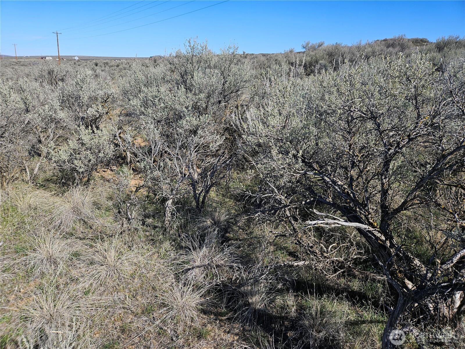 18 Thoroughbred Drive Property Photo 2