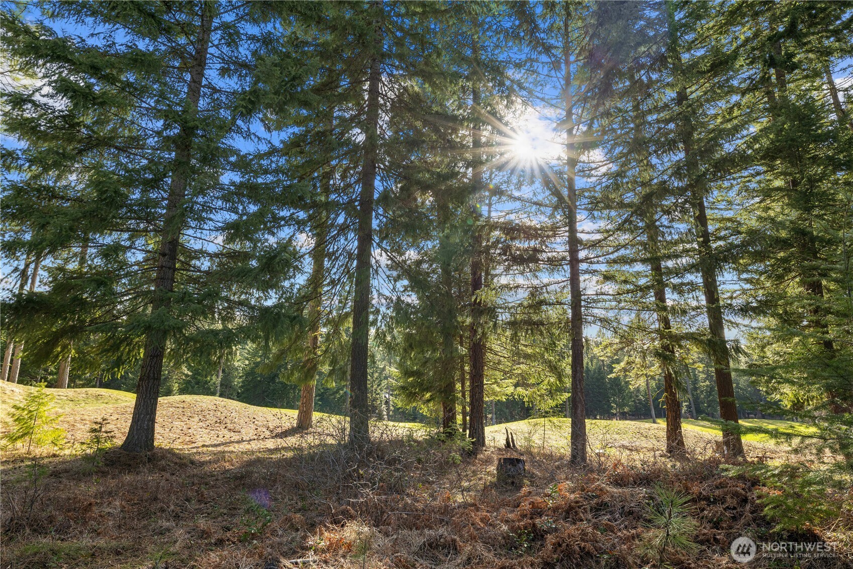 130 Rocking Chair Road Property Photo 2