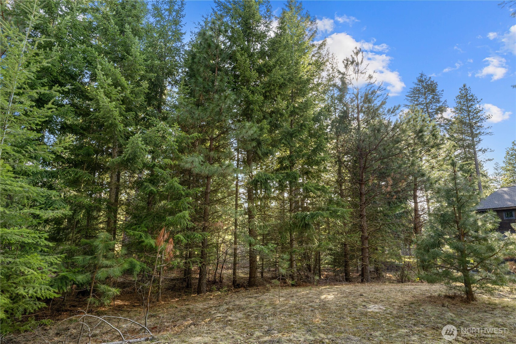 130 Rocking Chair Road Property Photo 12