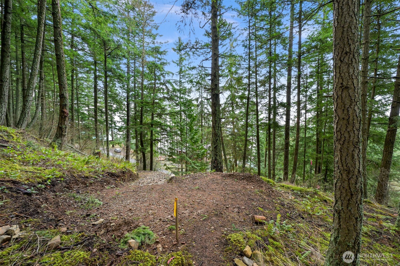 3073 Hales Passage Drive Property Photo 21