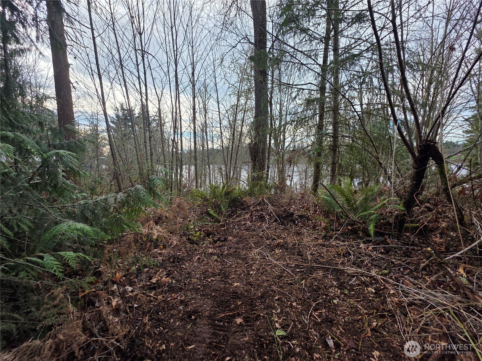 33722 Thomas Road Property Photo 11