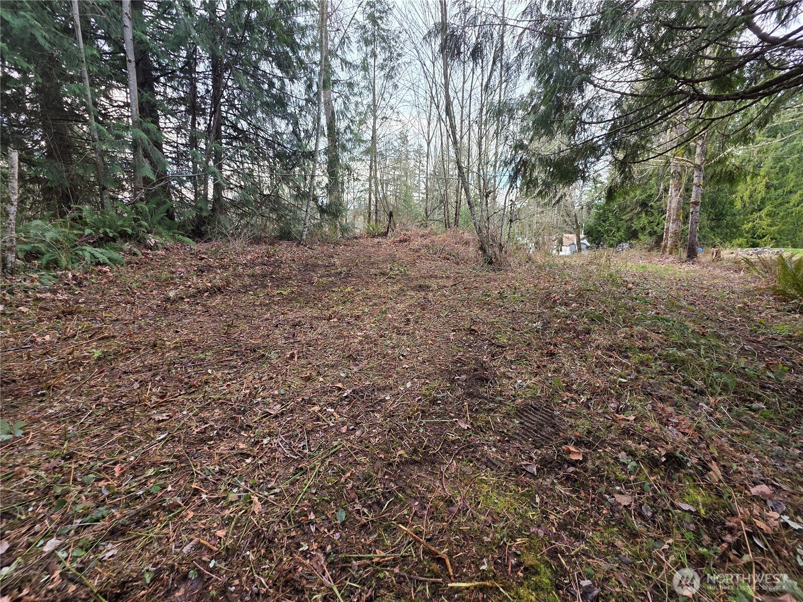 33722 Thomas Road Property Photo 13