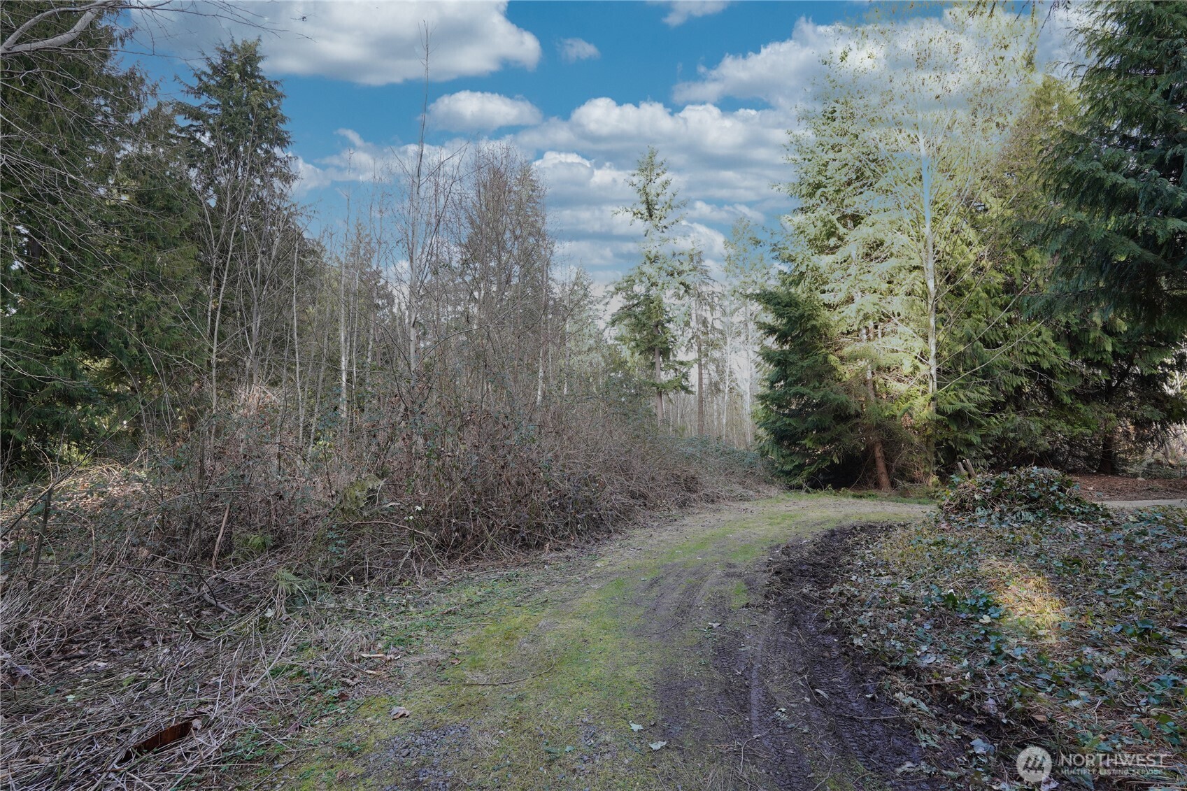 11109 144th Street Property Photo 22