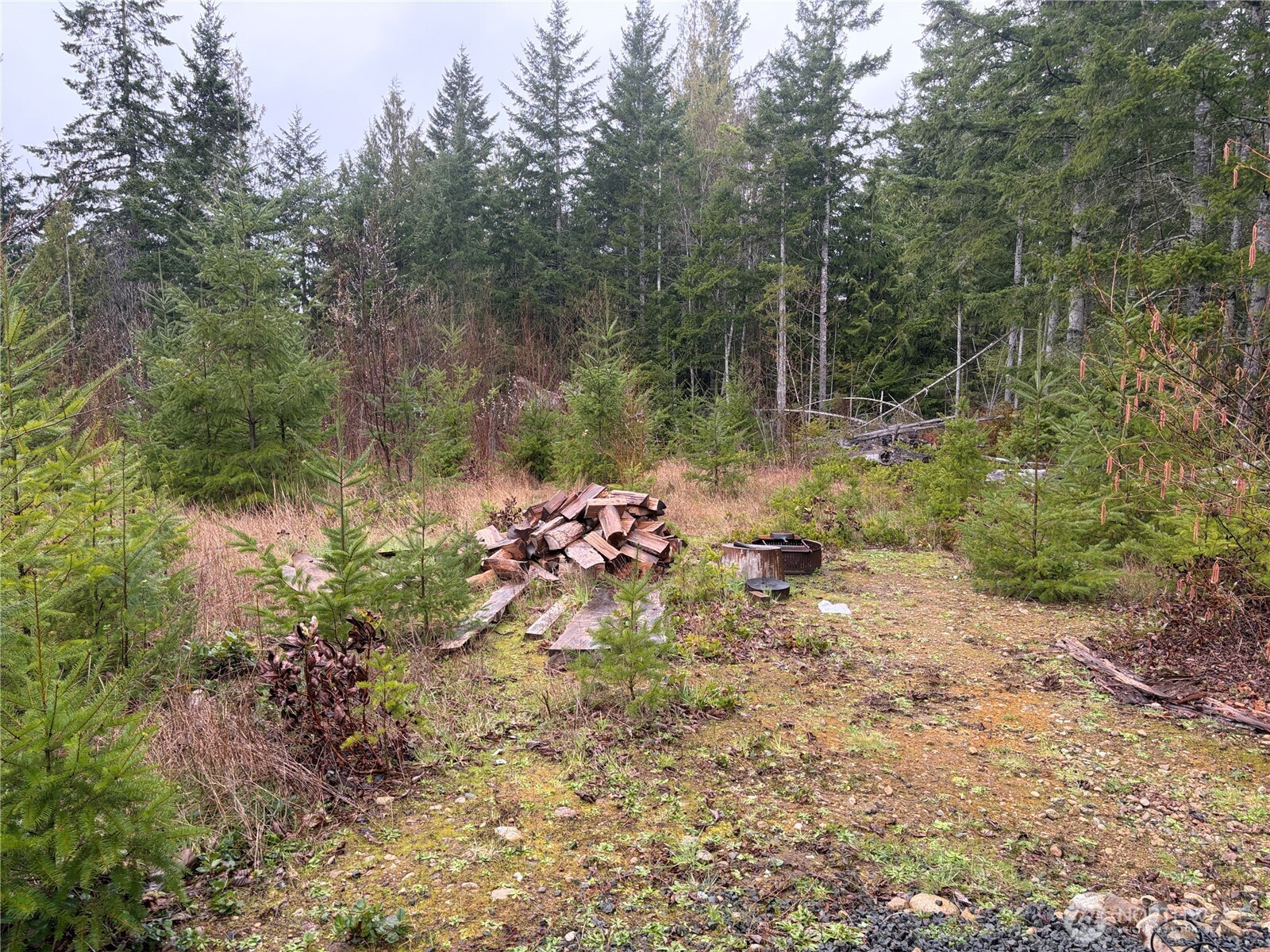 156 Whitney Road Property Photo 8