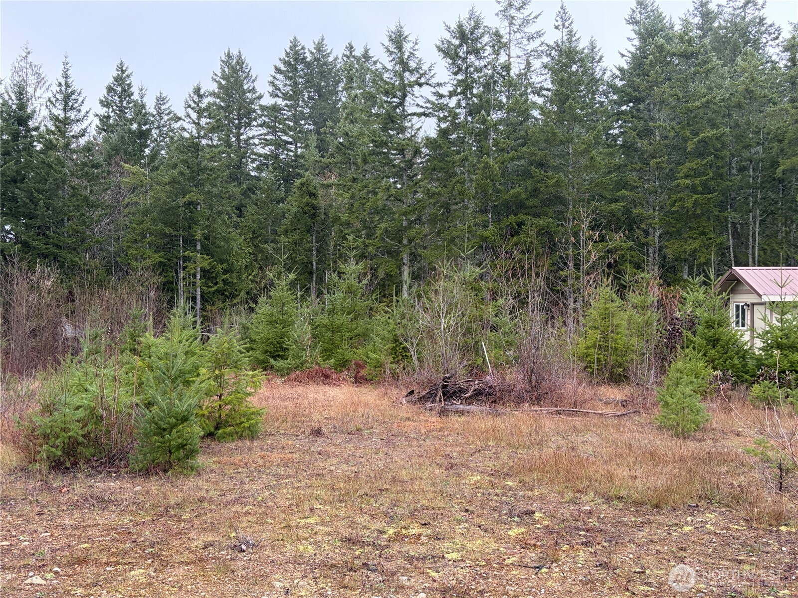 156 Whitney Road Property Photo 10