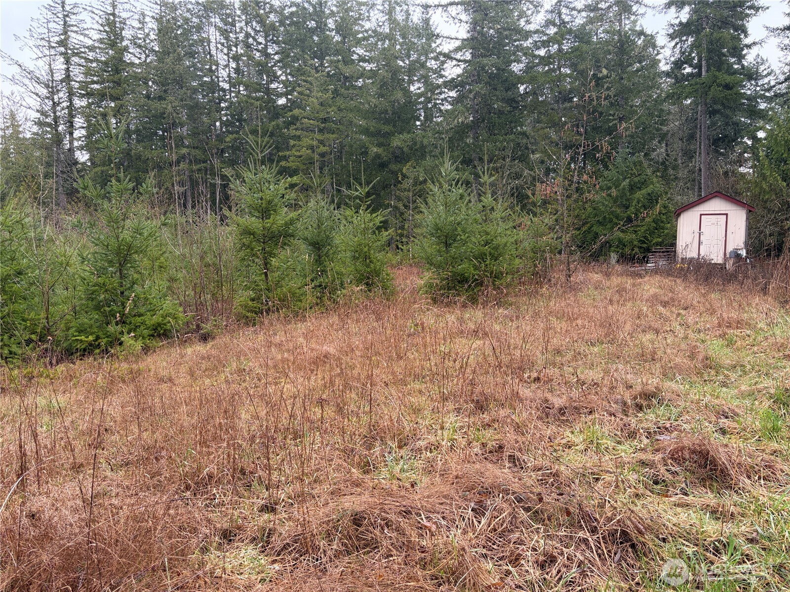 156 Whitney Road Property Photo 28