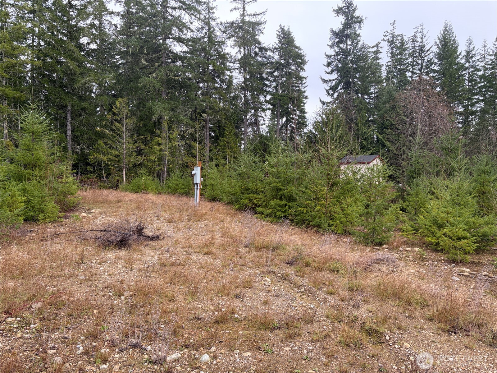 156 Whitney Road Property Photo 29