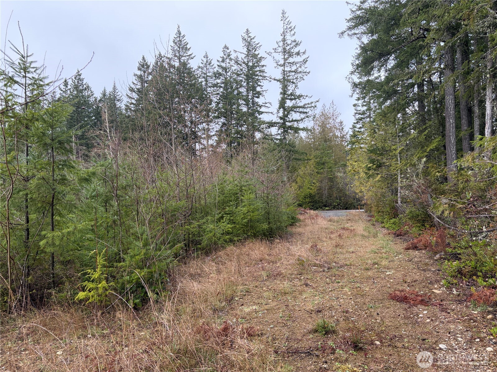 156 Whitney Road Property Photo 30