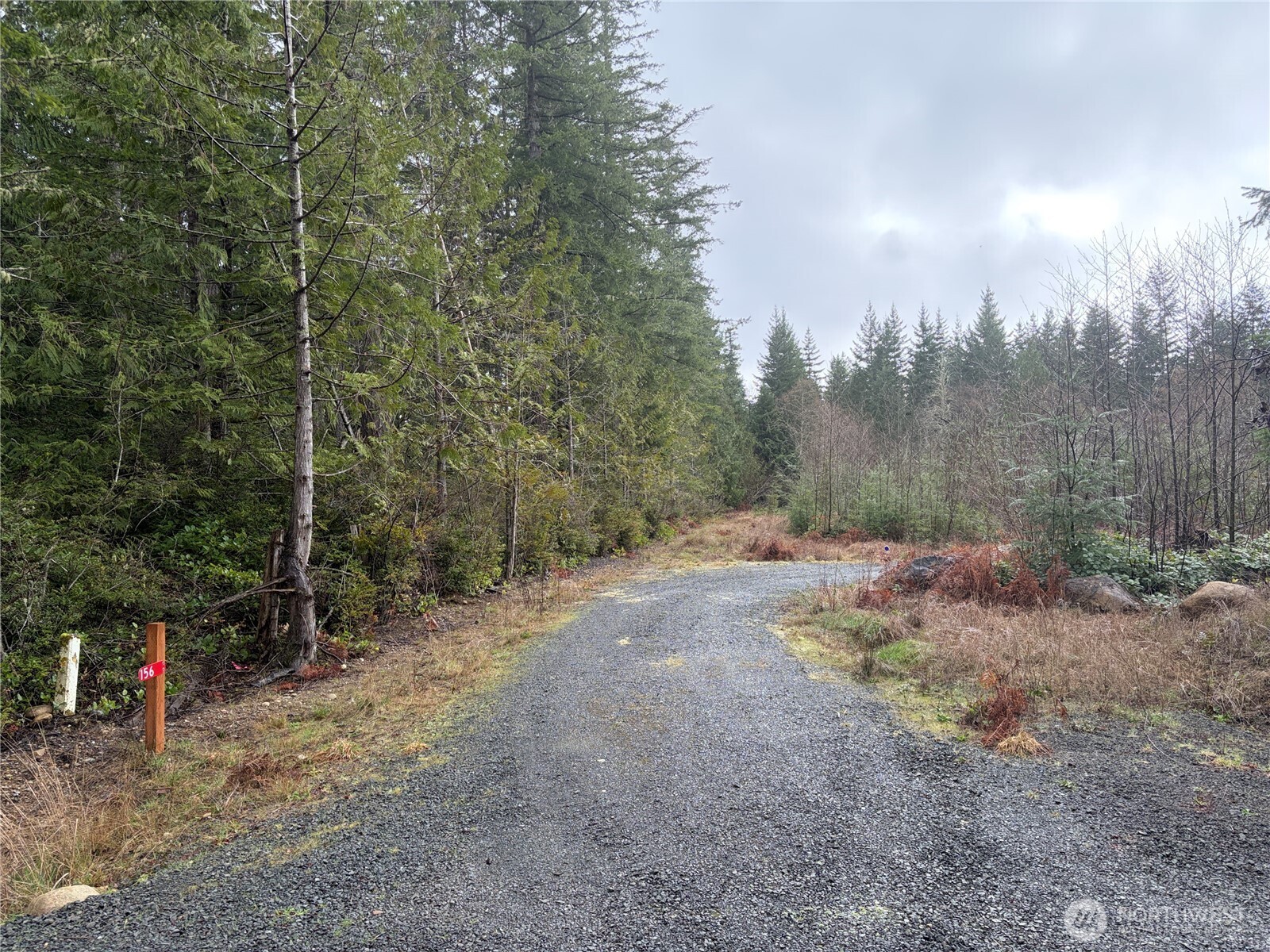 156 Whitney Road Property Photo 31