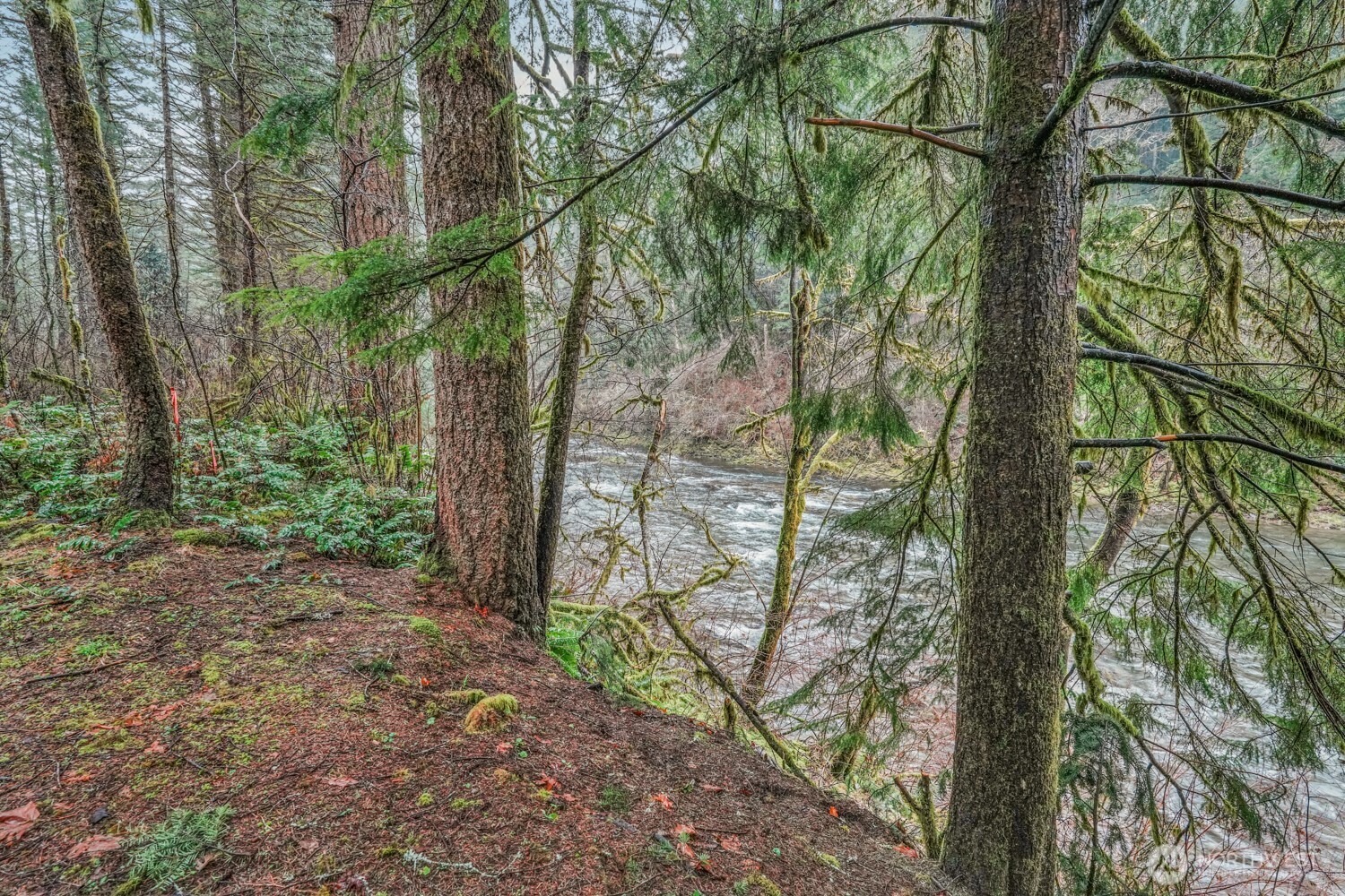 15202 Washougal River Road Property Photo 4