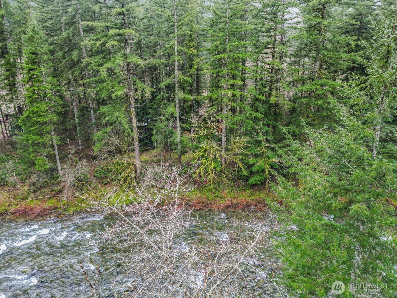 15202 Washougal River Road Property Photo 29