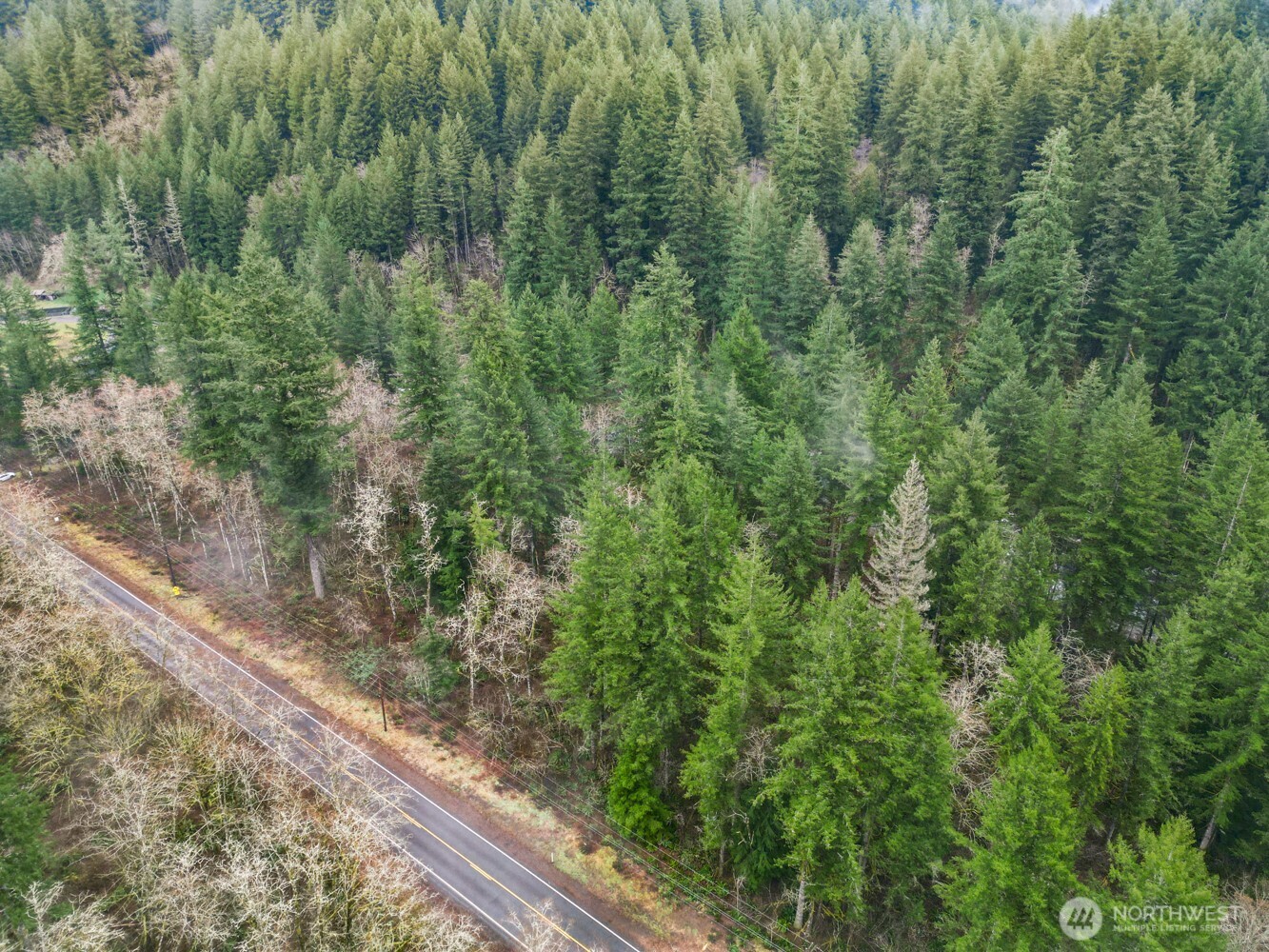 15202 Washougal River Road Property Photo 31