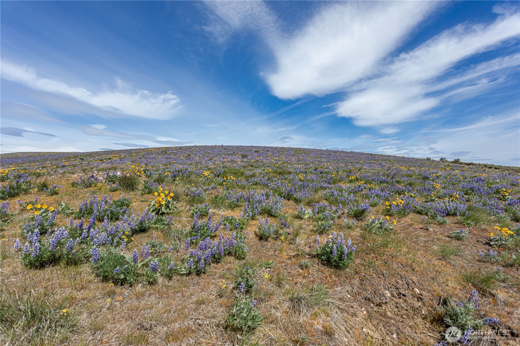 0 Lot 2 Burch Mountain Road Property Photo 18