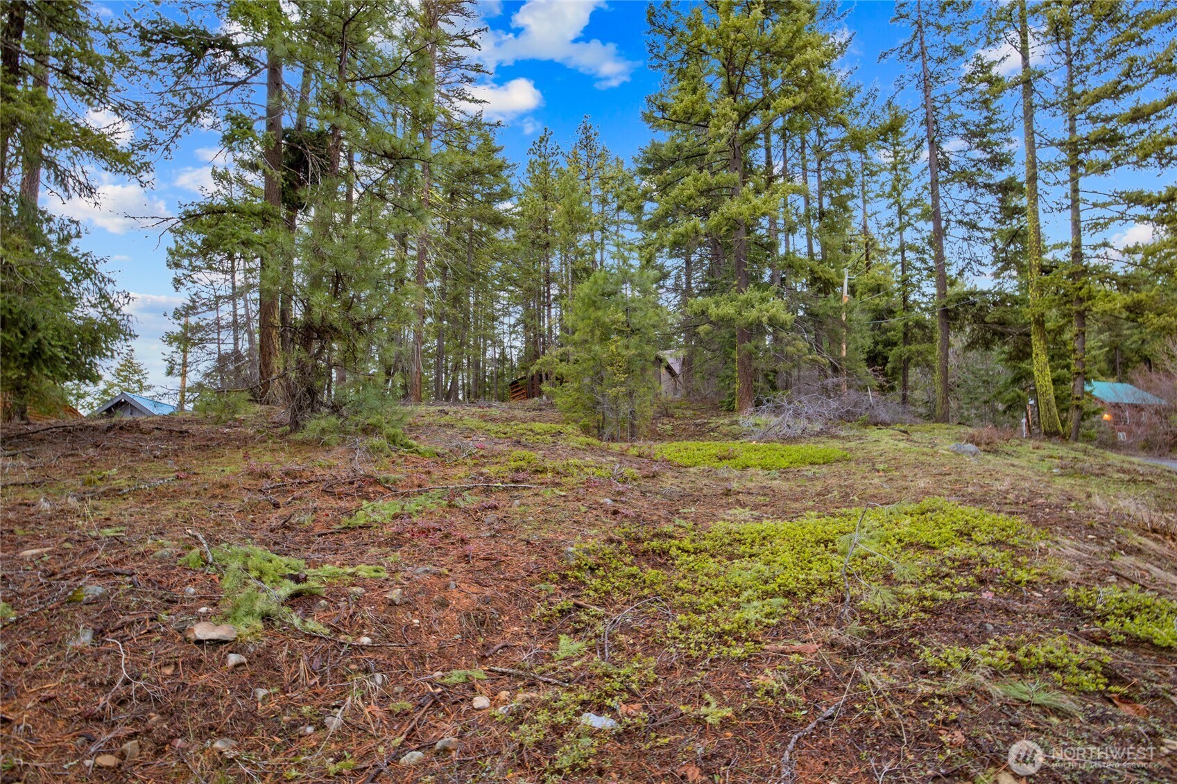 0 Lot 12 Pine Loch Sun Drive Property Photo 2