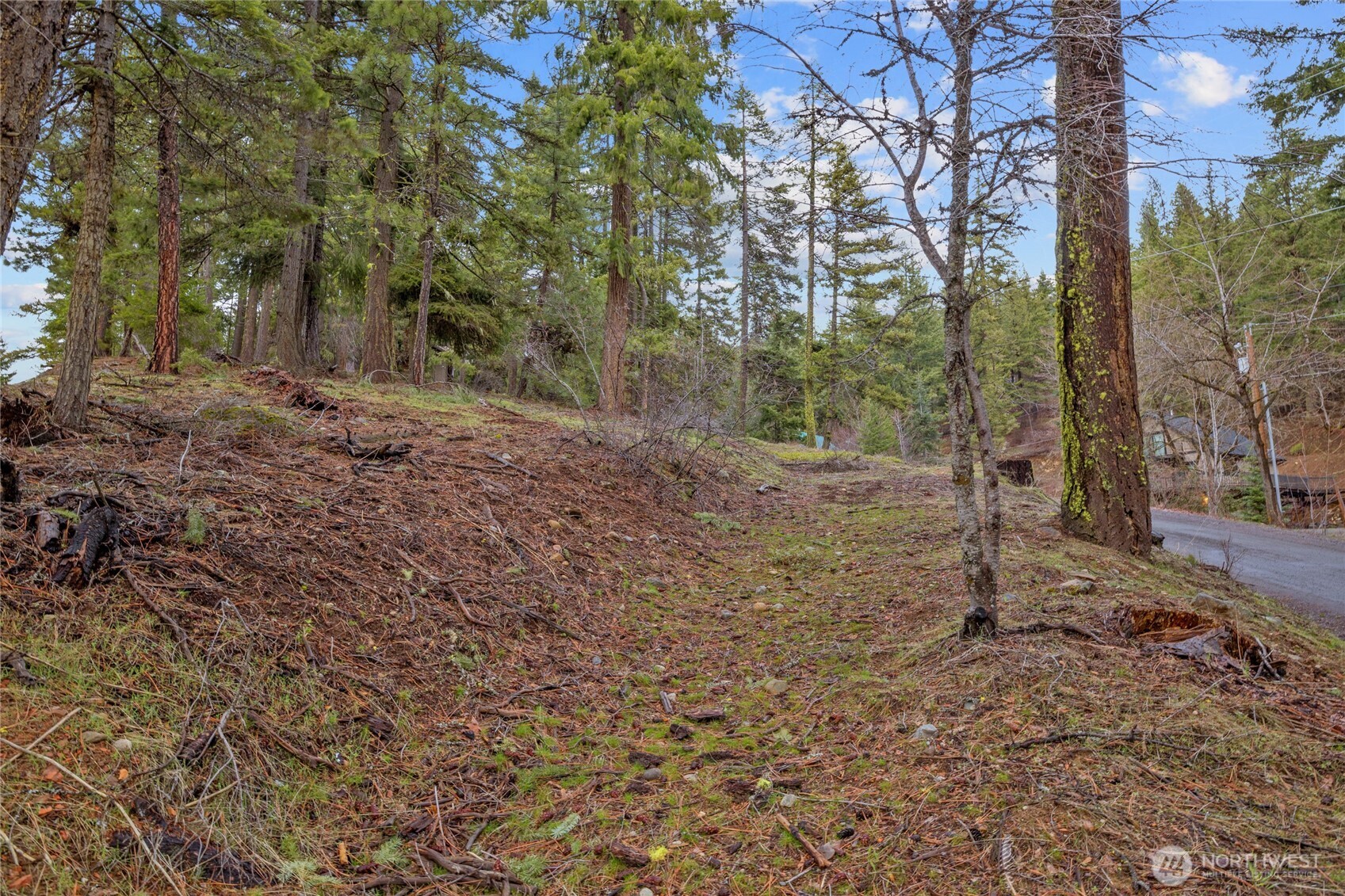 0 Lot 12 Pine Loch Sun Drive Property Photo 6