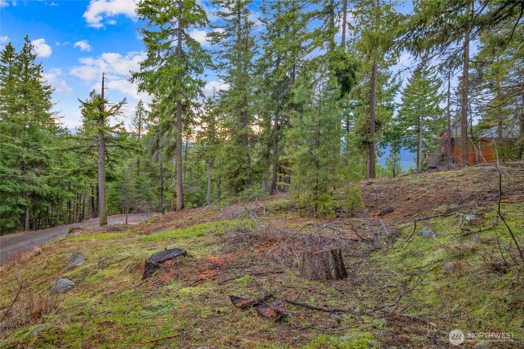 0 Lot 12 Pine Loch Sun Drive Property Photo 7