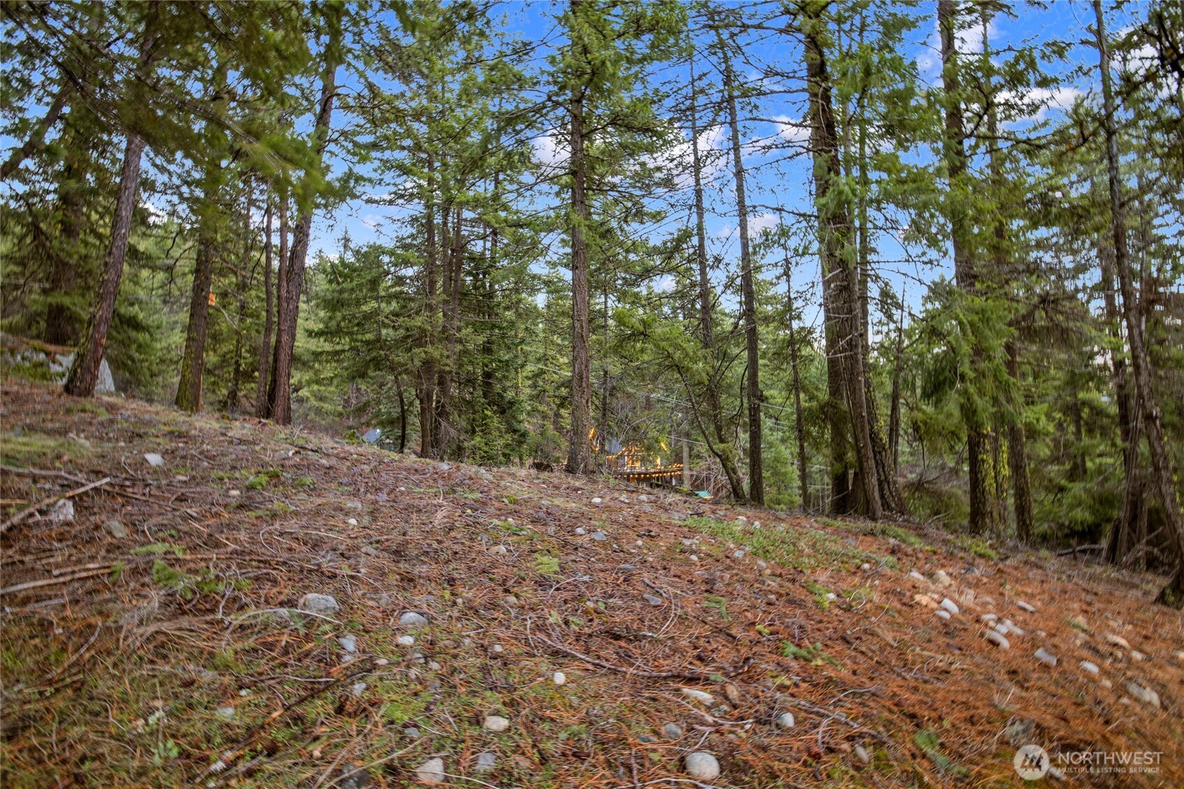 0 Lot 12 Pine Loch Sun Drive Property Photo 8