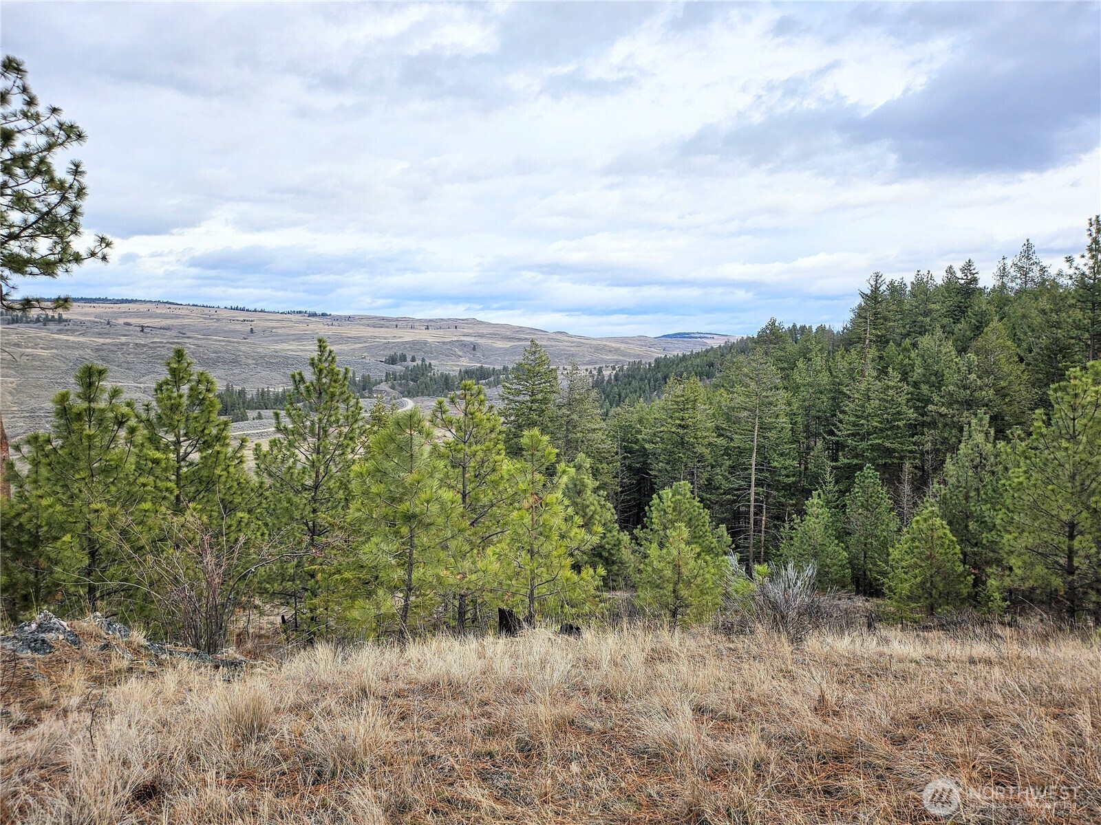 315 W Corral Drive Property Photo 1