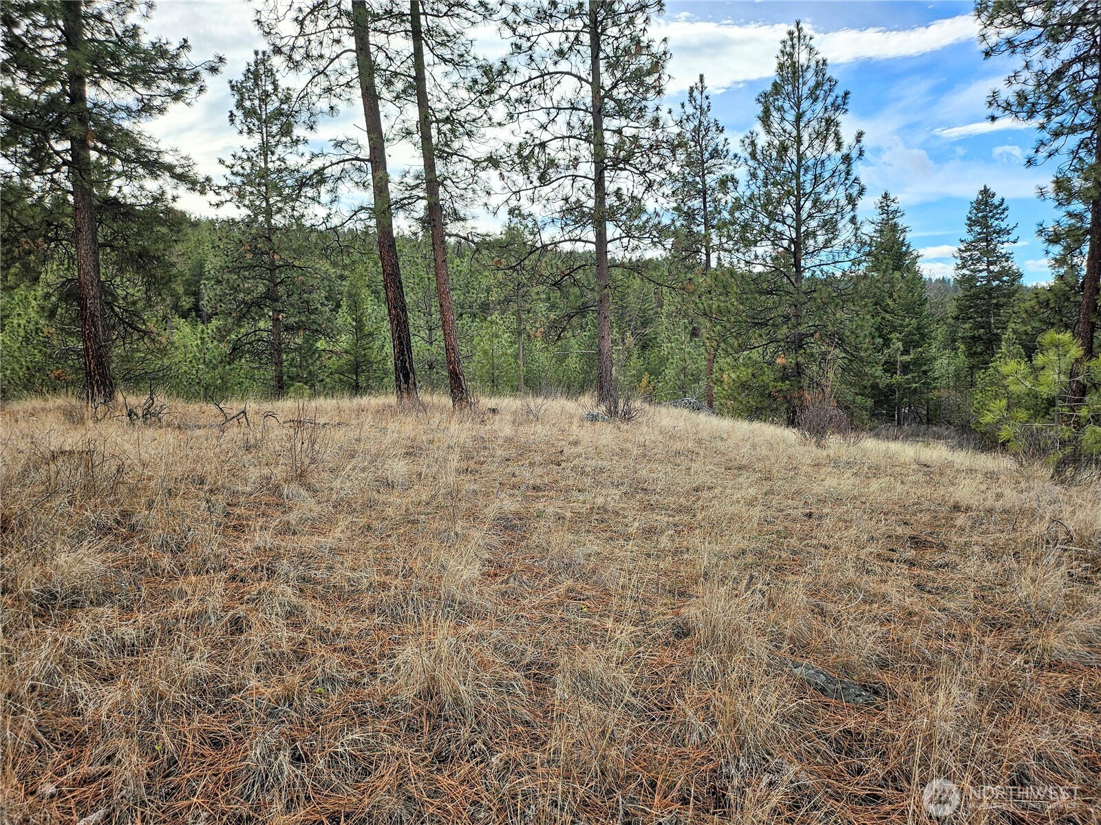 315 W Corral Drive Property Photo 5