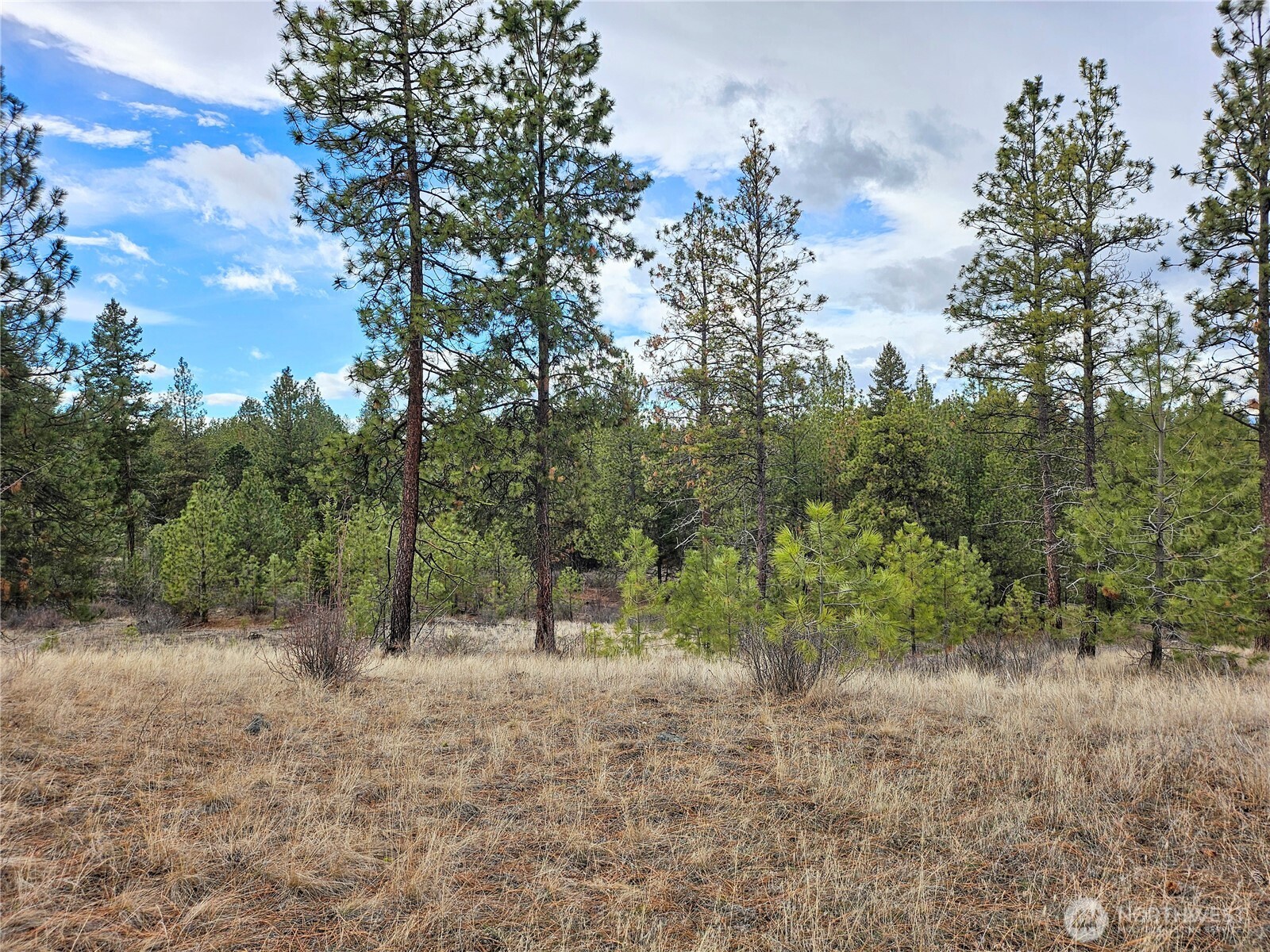 315 W Corral Drive Property Photo 8